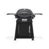 Weber Q 2800N+ W/Cart 2 Burner Liquid Propane Grill 2 Weber Q 2800N+ W/Cart 2 Burner Liquid Propane Grill -Grill Top Griddle Store 8090604 A.eps High 78291.1711664330