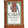 Cole's Assorted Species Raw Peanuts Wild Bird Food 5 Lb -Grill Top Griddle Store 8314908 A.eps High 31237.1643169884