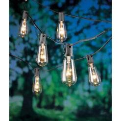 Incandescent Edison String Lights Clear 10 Lights -Grill Top Griddle Store 9017785 A V1.eps High 12793.1643058745