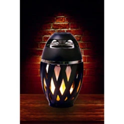 Home Plus Flame Lamp With Speaker -Grill Top Griddle Store 9792854 A V6.eps High 07027.1708715165