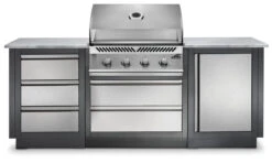 Napoleon ODK100-BI32SS Oasis 100 Outdoor Kitchen, Built-in 500 Series 32
