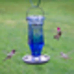 Perky-Pet Hummingbird 16 Oz Glass/Metal Nectar Feeder 4 Ports Blue -Grill Top Griddle Store birds 79597.1706905142