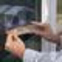 Perky-Pet Wild Bird 0.5 Lb Plastic Window Bird Feeder 1 Port 7 Perky-Pet Wild Bird 0.5 Lb Plastic Window Bird Feeder 1 Port -Grill Top Griddle Store cc 62467.1737990649