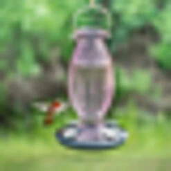 Perky-Pet Hummingbird 16 Oz Glass/Metal Nectar Feeder 4 Ports Pink 5 Perky-Pet Hummingbird 16 Oz Glass/Metal Nectar Feeder 4 Ports Pink -Grill Top Griddle Store pink2 12526.1706904620
